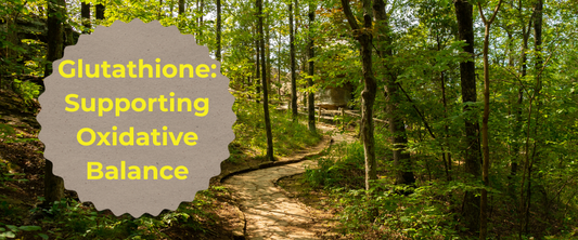 Glutathione: Supporting Oxidative Balance