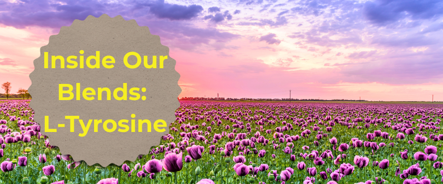 Inside Our Blends: L-Tyrosine