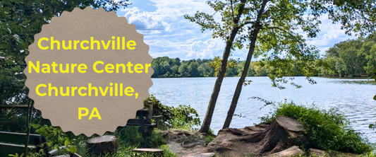 A journey through the Churchville Nature Center
