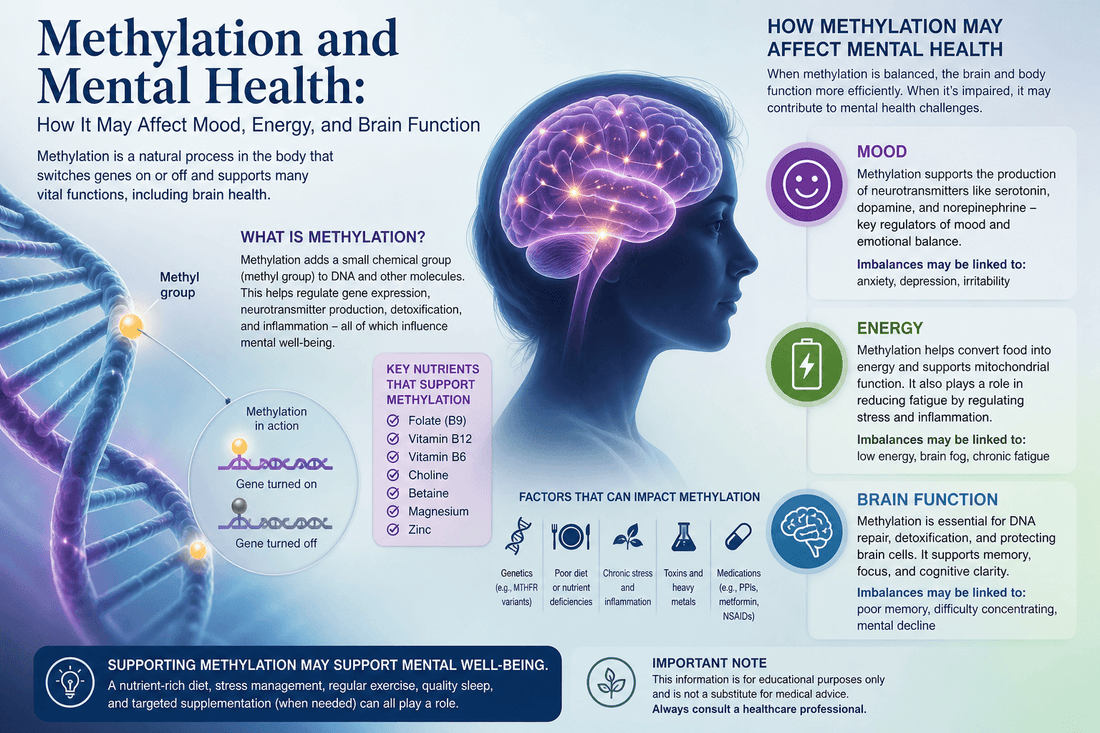 Methylation and Mental Health: How It May Affect Mood, Energy, and Brain Function
