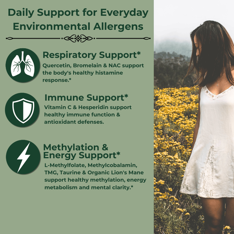 How our Daytime Allergy Support Works: Supporting a Healthy Histamine Response Every Day
