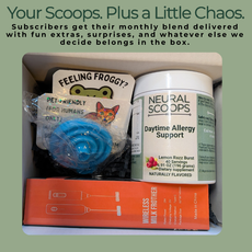 Neural Scoops monthly subscription box with allergy support powder and wellness accessories.