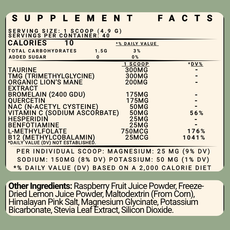 Supplement Facts panel for Neural Scoops Daytime Allergy Support showing ingredients and nutrition information.