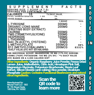 Dopamine & Energy Protocol