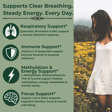 Infographic highlighting respiratory support, immune support, methylation support, and focus benefits of Neural Scoops Daytime Allergy Support.