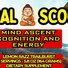 Mind Ascent - Cognition and Energy