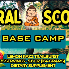 Base Camp - Support for Healthy Circulation