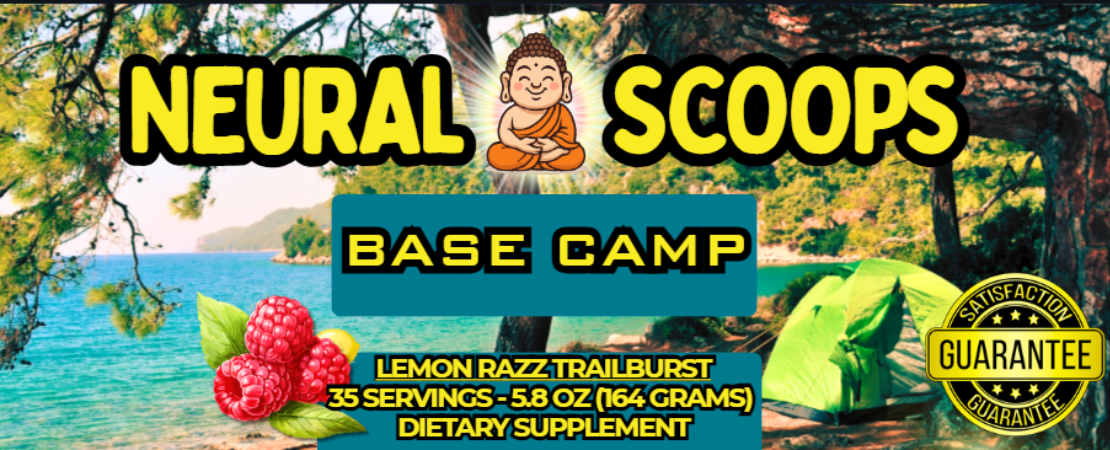 Base Camp - Support for Healthy Circulation